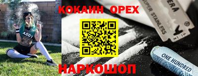 apvp Кунгур