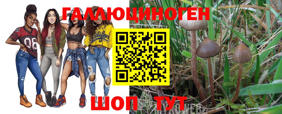 Каменск-Уральский  где купить наркоту  Вход с VPN  Псилоцибиновые грибы MAGIC MUSHROOMS 